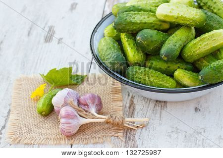 Ripe cucumbers in metal bowl and fresh garlic on jute canvas on old white wooden table in garden on sunny day healthy nutrition