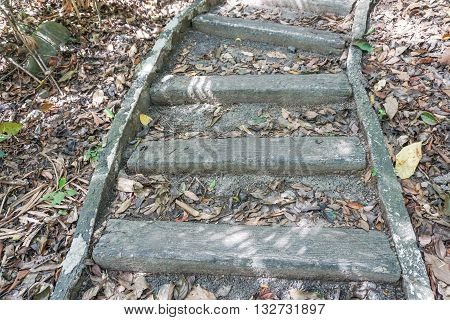 the wooden steps in the deep jungle