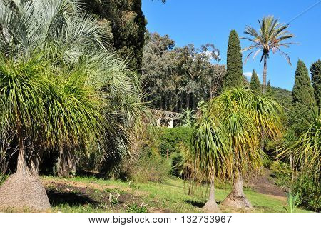 Rayol Canadel sur Mer France - april 18 2016 : the estate Rayol garden in spring