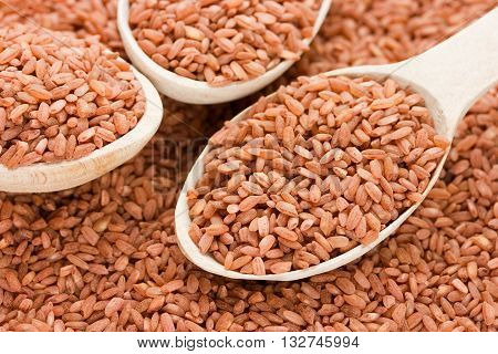 Red rice devzira in spoon close up