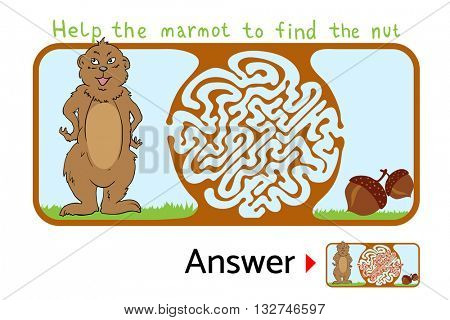 Maze puzzle for kids with Marmot and Nut. Labyrinth illustration, solution included.