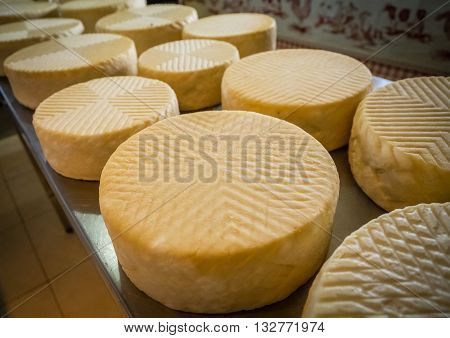Large chunks of goat cheese on sale in a farm shop in Fuerteventura, Canary Islands, Spain