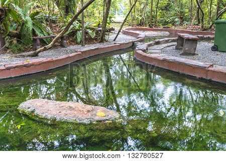 Hot spring with green tree and reflection