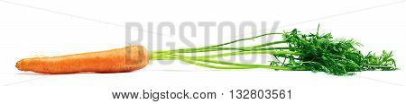 Carrot raw vegetables on white - healthy untreated genuine vegetables