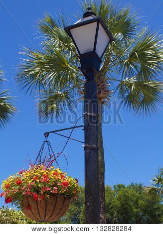 Street lamp with brightly colored hanging flower basket