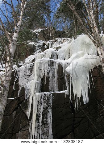 A steep angle of an icy rocky cap emerges between a few trees