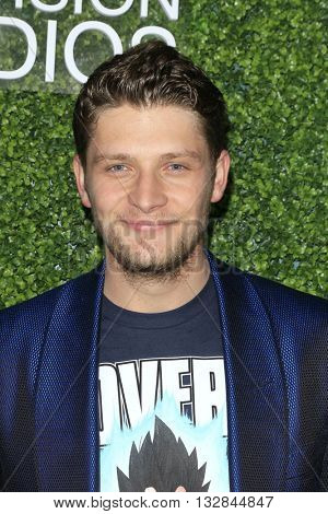 LOS ANGELES - JUN 2:  Brett Dier at the 4th Annual CBS Television Studios Summer Soiree at the Palihouse on June 2, 2016 in West Hollywood, CA