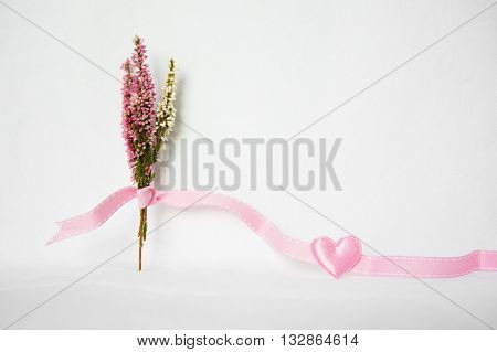 pink purple heather flower with pink heart on white background