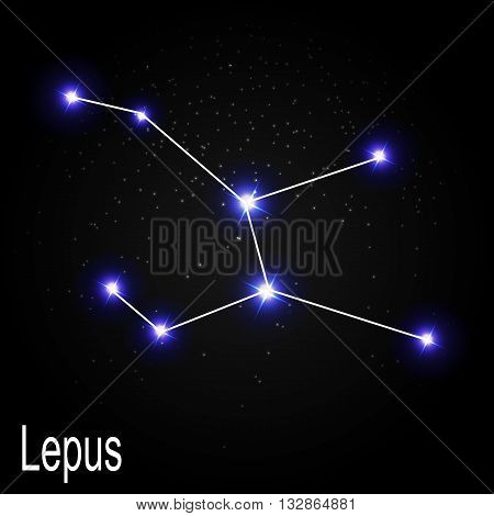 Lepus Constellation with Beautiful Bright Stars on the Background of Cosmic Sky Vector Illustration EPS10
