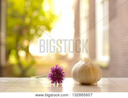 white garlic with purple flower in soft background