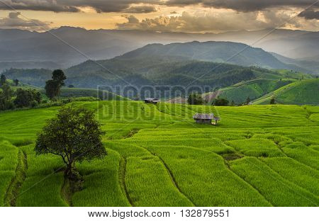 Beautiful terrace rice fields in Mae chaem, Chiang mai Thailand