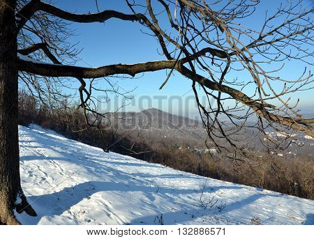View from the top of Normafa in winter (Budapest, Hungary)