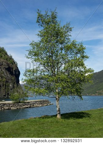 the wonderfull fjoerd of flam in norway
