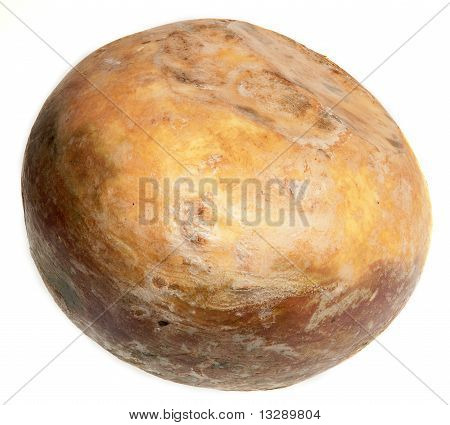 Steckrübe