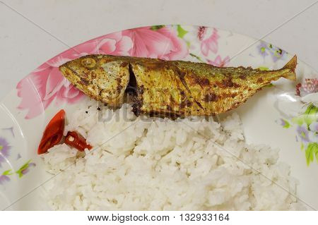 Economy menu rice with small pepper and fried fish. Favourite,low budget and cheaper menu among asian people.
