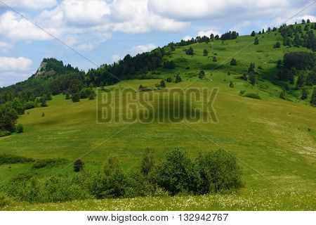 Mountains Pieniny in Slovakia and Poland in June