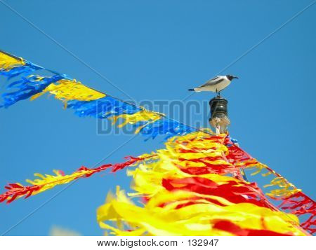 새 보트