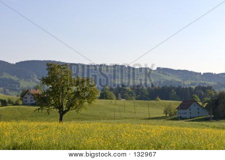 Gospodarstwo