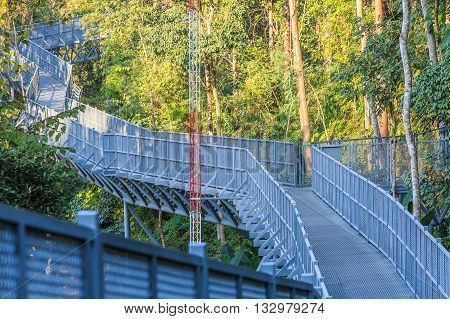 Canopy walks at Queen sirikit botanic garden Chiang Mai Thailand