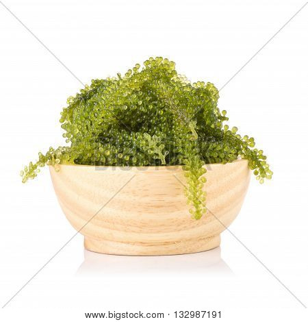 Healthy Sea Food. Oval Sea Grapes Seaweed