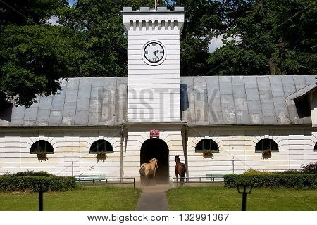 Janow Podlaski, Poland - May 29: Stable 