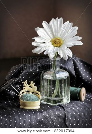 Still Life With White Daisy Flower In The Small Vintage Glass Botlle, Needles And Spool Of Thread Ag