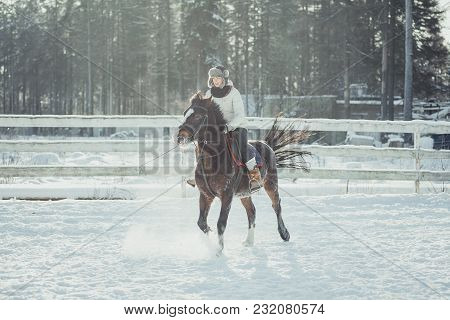 Winter Teenage Girl Jump Horse Ride Jumping