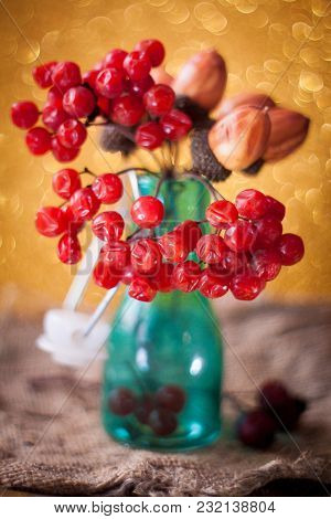 Ripe Bunch Of Red Viburnum On A Beautiful Bokeh Background Rustic Style Still Life On A Table Viburn