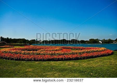Blomsterhave på Suan Luang Rama 9 Thailand