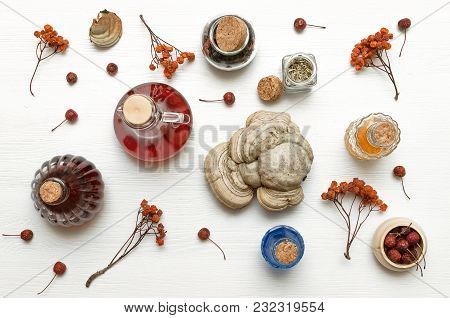 Herbal Medicine. Alternative Medicine Concept. Dry Organic Natural Ingridients. Wild Berry Medicinal