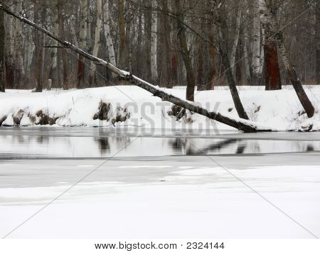 Winter. Nase am Fluss
