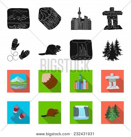 Canadian Fir, Beaver And Other Symbols Of Canada.canada Set Collection Icons In Black, Flet Style Ve