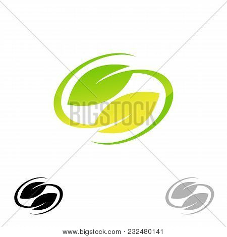 Creative Sample Leaf Circle Logo Vector Nature