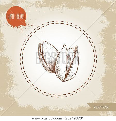 Pistachios Hand Drawn Sketch Style Illustration. Open Fried And Fresh Nuts. Vector Illustration Isol