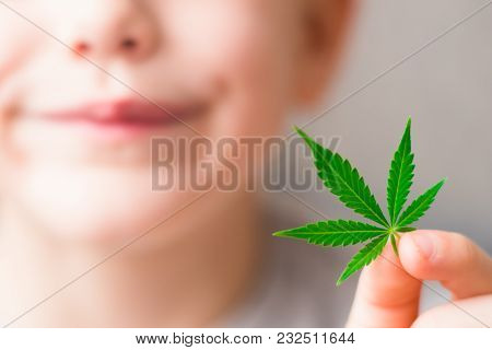 Smiling Kid Child Holding A Hemp Leaf. Concepts Of Using Marihuna For Medicinal Purposes For Childre