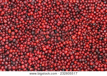 Frozen Red Berry Cranberries Close-up As Background