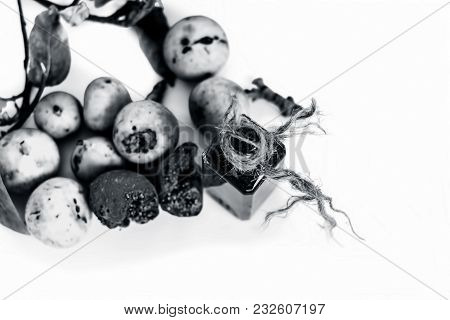 Close Up Of Fresh Leaves Of Gular,golar Or Clustar Fig Tree Or Indian Fig Tree Fruit Isolated On A W