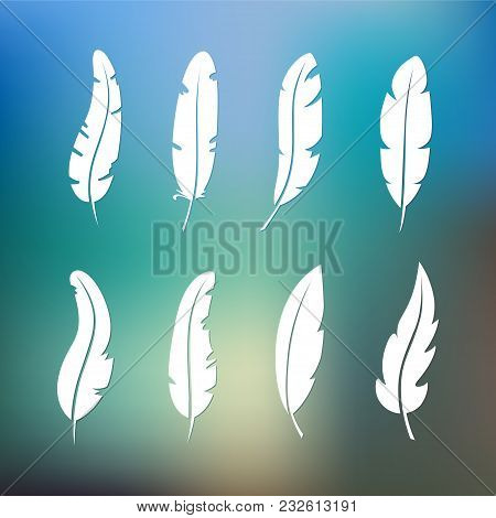 Different Set Feather Vector Icon Isolated On White Background. Collection For Writing Text And Desi