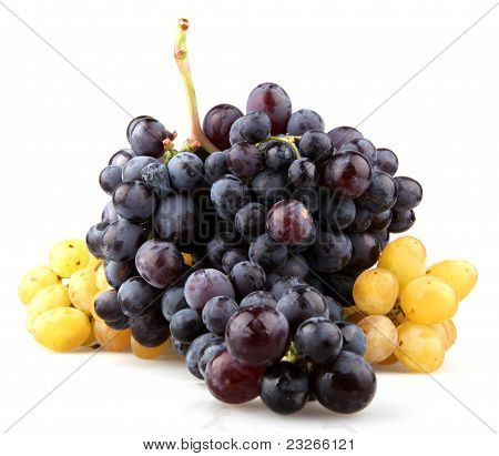Fresh Grape