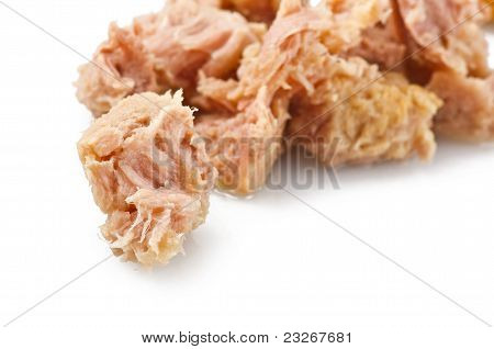 참치