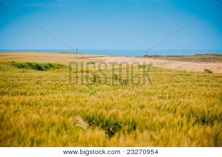Karatas에서 시골 Landscapa