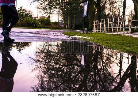 Puddle Of Water In Rain In Park - Selective Focus, Park.