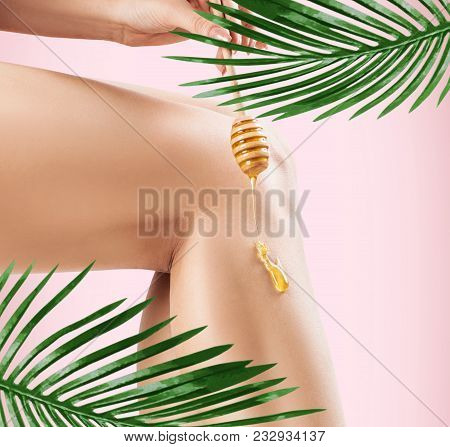 Legs Depilation By Honey Or Sugar Pasta. Among Palm Leaves. Sugar Hair Removal Concept.