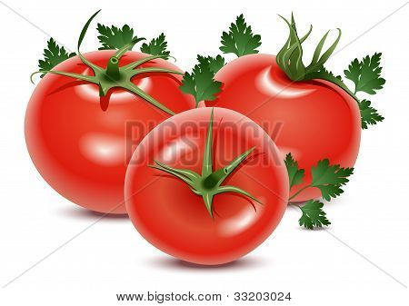 Tomate e salsa