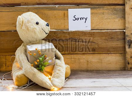 I Am Sorry Message Card Handwriting With Teddy Bear Holding Gift Box ,light Decoration  Postcard Sty