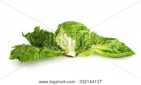Close-up Iceberg Lettuce Cabbage With Big Green Salad Leaves Isolated On White Background
