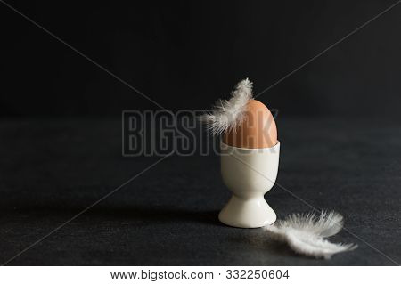 Creative Brown Egg In Egg Cup With Feather On Top.