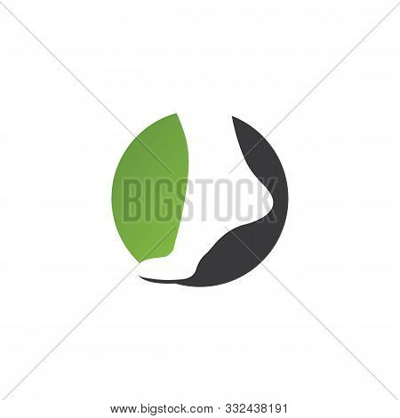 Foot Logo Template Vector