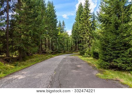 Forest Road To Orle Shelter In Jizera Mountains, Jakuszyce, Poland
