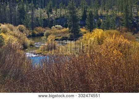 Colorful Fall Landscape In Mountain Meadows Of Colorado